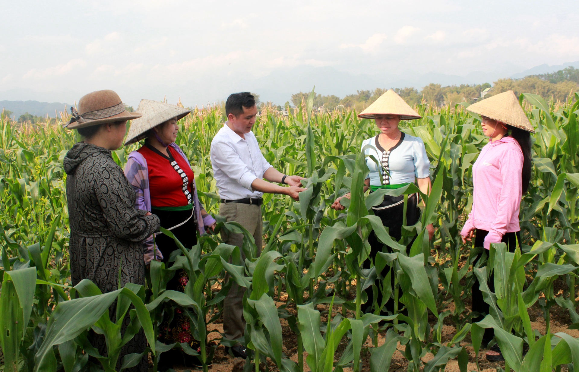 Ngoài tuyên truyền chủ trương, đường lối của Đảng, chính sách pháp luật của Nhà nước, anh Thân còn tích cực hướng dẫn bà con trong bản phát triển kinh tế.