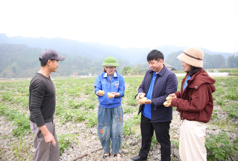 Thanh niên Than Uyên nhân rộng các mô hình phát triển kinh tế