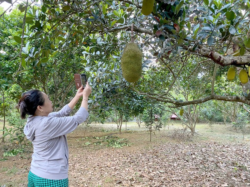 Người cao tuổi với công nghệ số