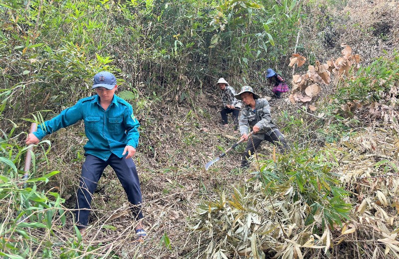 Nậm Nhùn sẵn sàng mùa trồng rừng