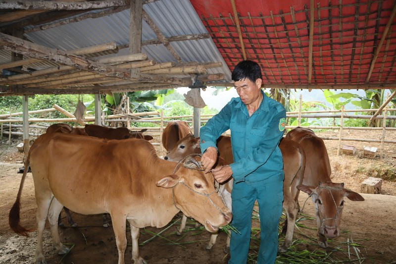 Cựu chiến binh làm kinh tế giỏi