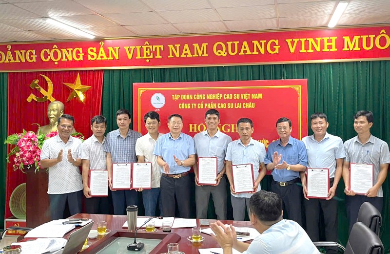 Công bố các quyết định về công tác tổ chức và cán bộ