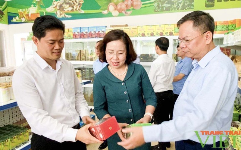 Lai Châu chuẩn bị tổ chức sự kiện “Thúc đẩy liên kết vùng trong phát triển thương mại điện tử”