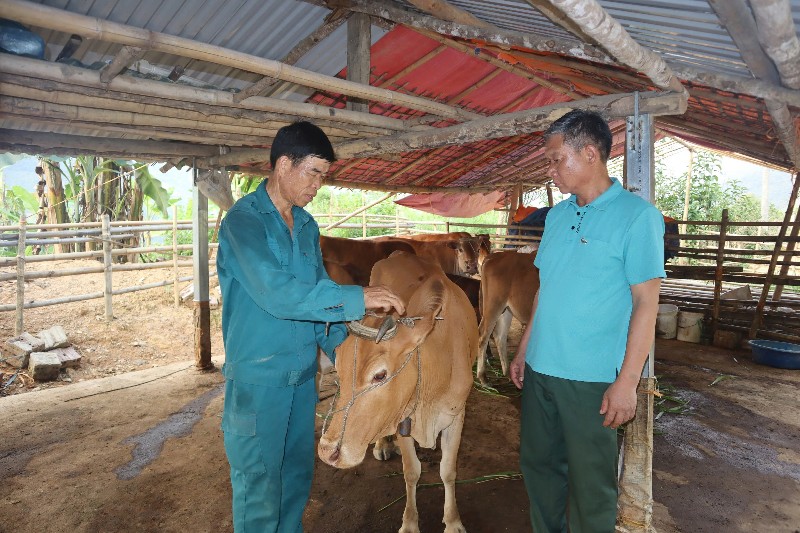 Nêu cao tính tiên phong, gương mẫu của đảng viên