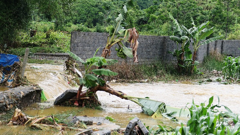  Lai Châu: Thiệt hại nặng nề sau trận mưa