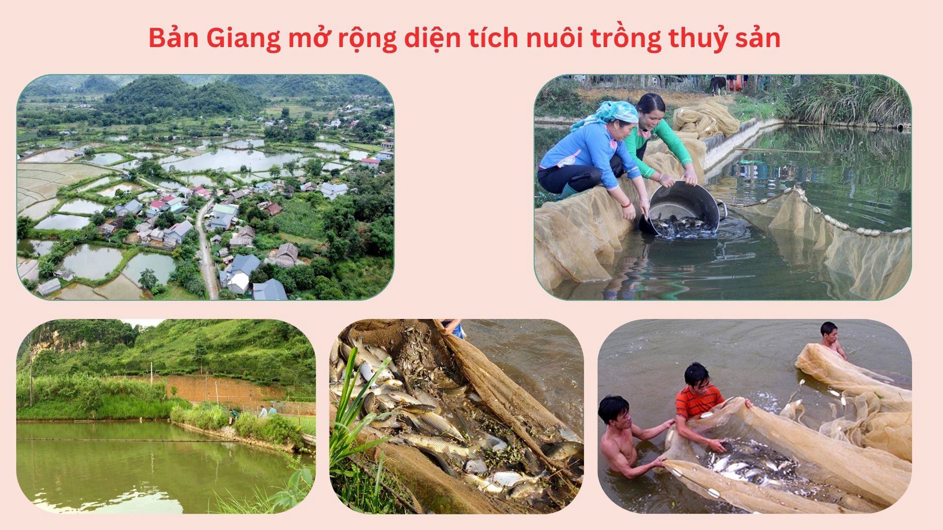 Ảnh 1 tromg tổng số 5 ảnh.