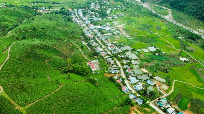Lễ hội Trà huyện Tân Uyên lần thứ II năm 2025 sẽ diễn ra trong 2 ngày (24 - 25/5)