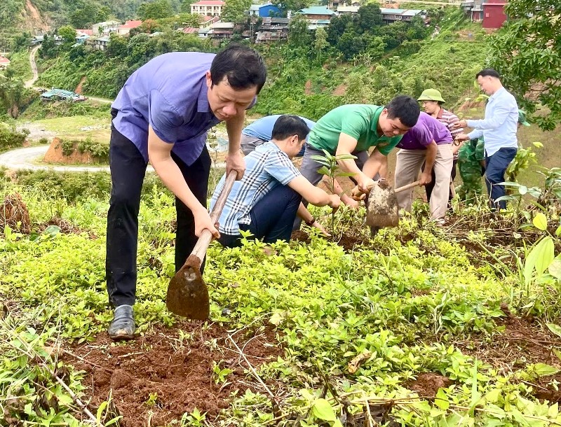 Mường Tè trồng 500 cây xanh hưởng ứng “Tết trồng cây đời đời nhớ ơn Bác Hồ”