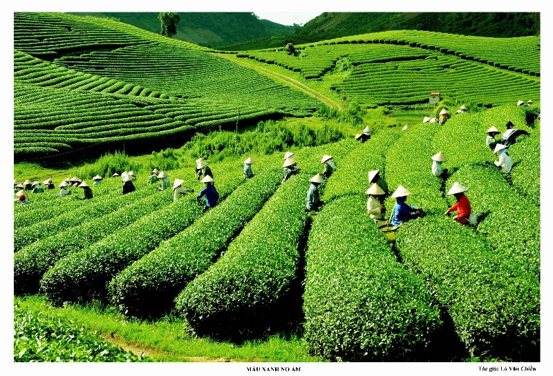 Ra sức học tập và làm theo Bác để Lai Châu vươn mình trong kỷ nguyên mới