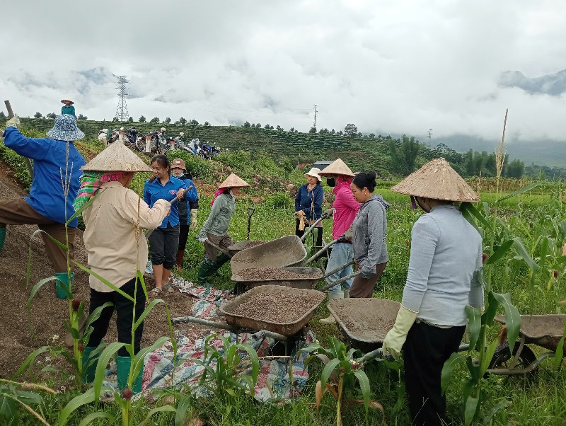 Sức mạnh của đoàn kết và sự quyết tâm