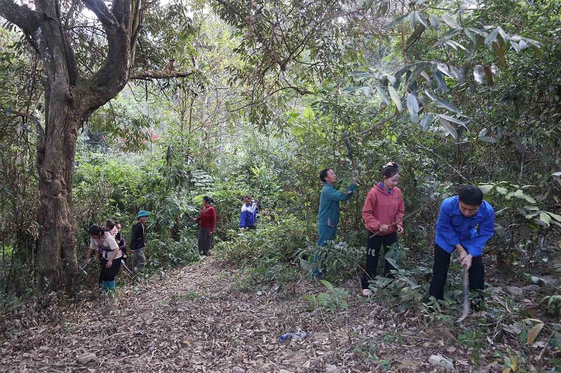 Bảo vệ tốt diện tích rừng