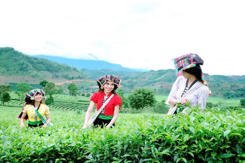 Lấy ý kiến nhân dân về kết quả thực hiện Nghị quyết Đại hội Đảng bộ tỉnh lần thứ XIV