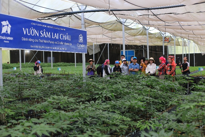 Đoàn Famtrip khảo sát, quảng bá vùng nguyên liệu, sản phẩm OCOP của tỉnh Lai Châu năm 2025