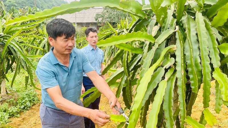 Học và làm theo Bác - động lực thúc đẩy các phong trào thi đua