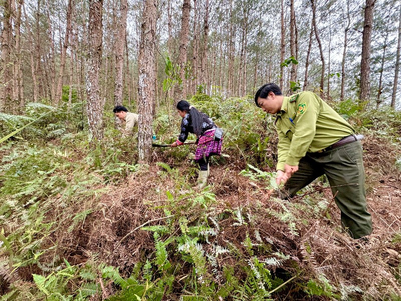 Khun Há: Tích cực bảo vệ rừng, phòng cháy, chữa cháy rừng