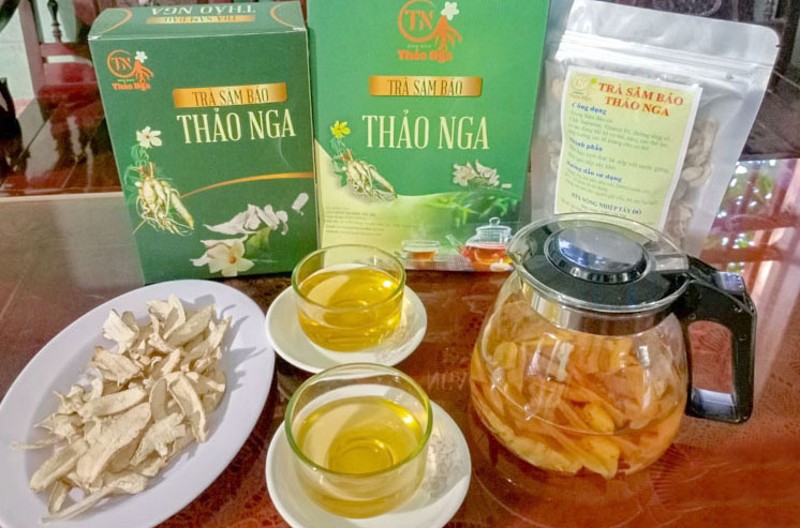 Loài sâm quý ở Thanh Hóa