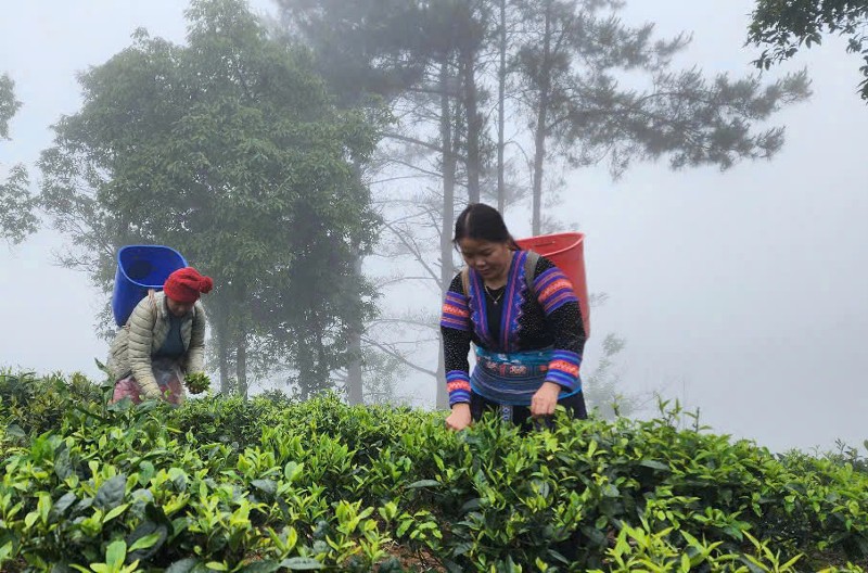 Mạnh dạn chuyển đổi sản xuất