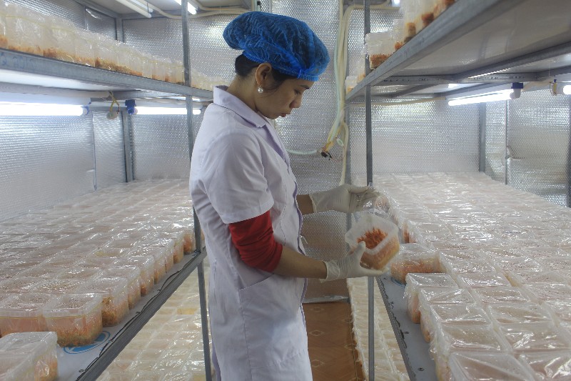 Hỗ trợ phụ nữ khởi nghiệp