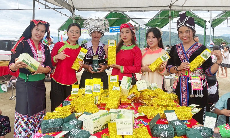 Hội thi hái chè, sao chè tại xã Phúc Khoa