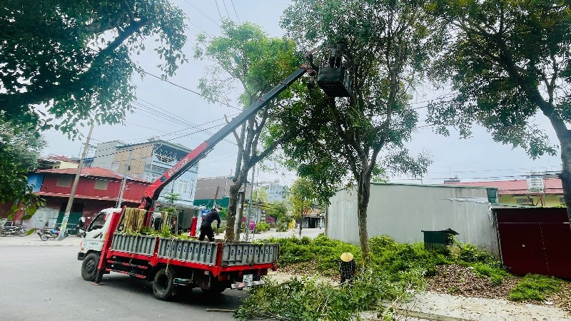 Chủ động ứng phó - giảm thiểu thiệt hại