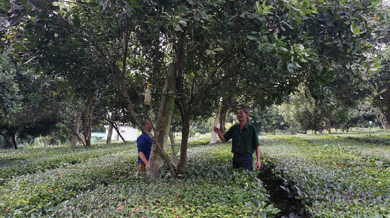 Chuyện những người đi xây dựng kinh tế mới