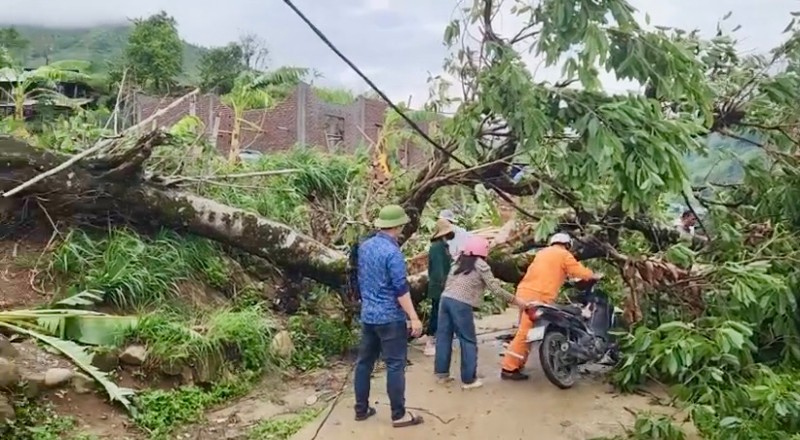 Tăng cường công tác phòng ngừa, ứng phó các sự cố môi trường trong mùa mưa bão