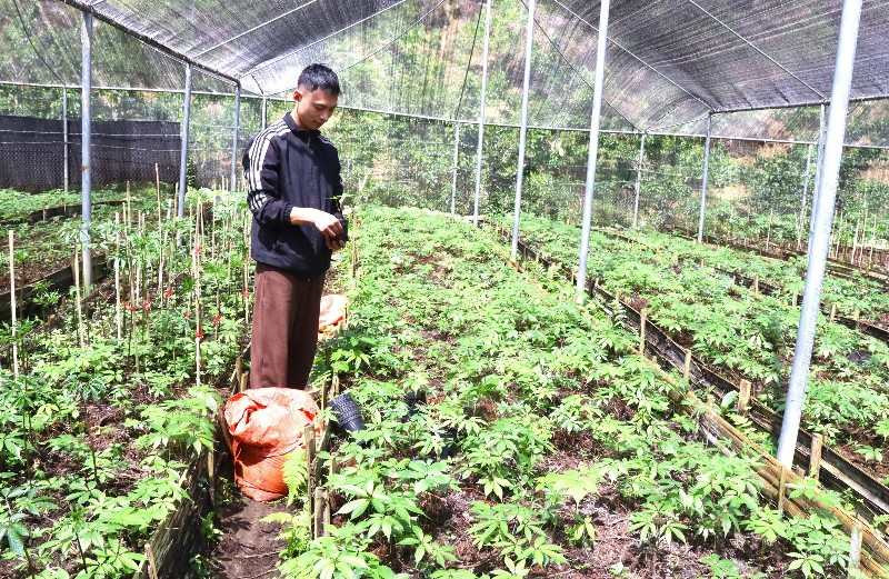 Nâng cao chất lượng nguồn lao động