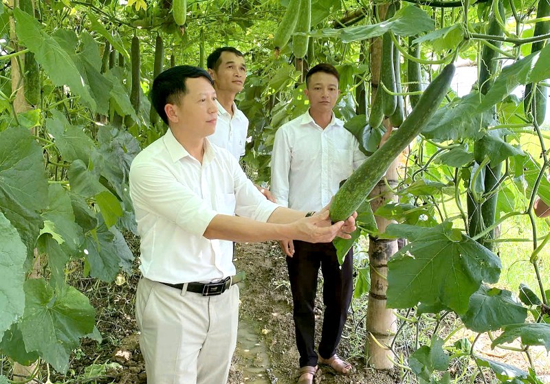 Nỗ lực xây dựng quê hương Bình Lư phát triển giàu đẹp