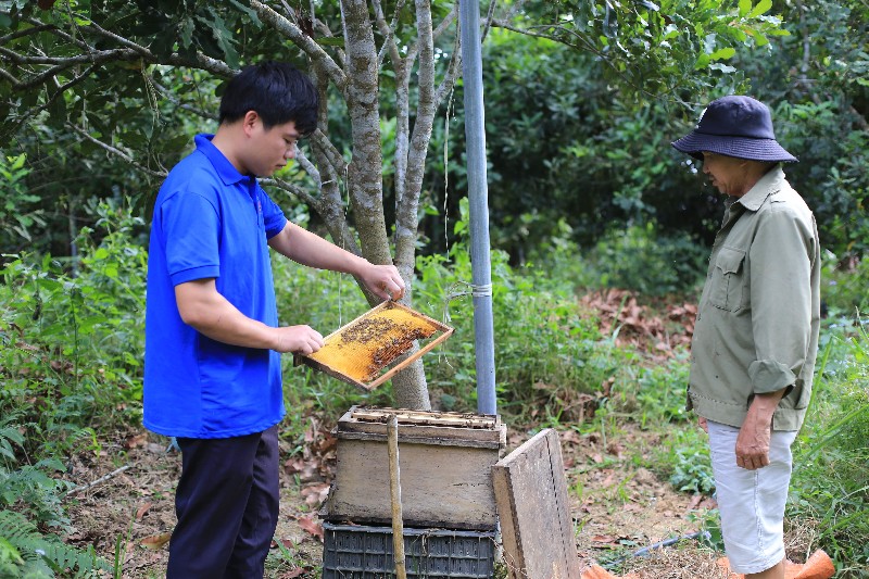 Thủ lĩnh đoàn gương mẫu