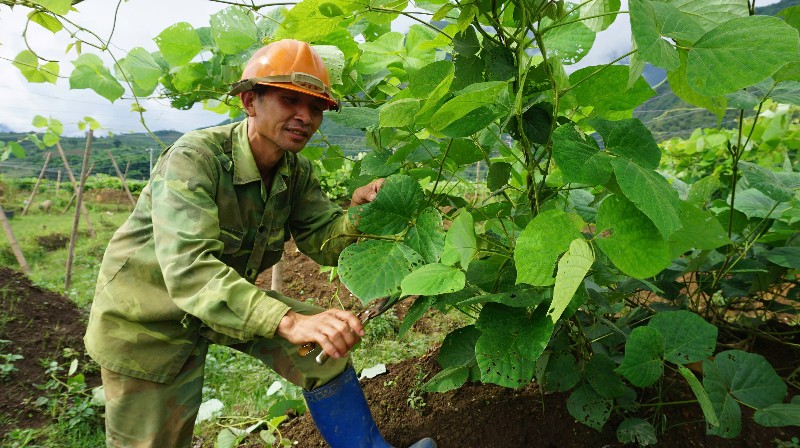 Nhân rộng điển hình, thúc đẩy phong trào thi đua