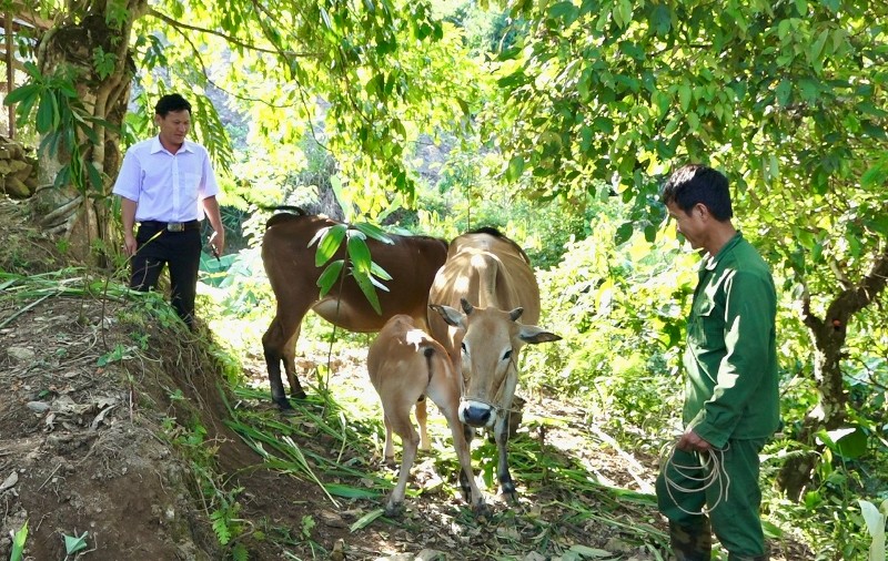 Hiệu quả từ các chương trình, chính sách hợp lòng dân