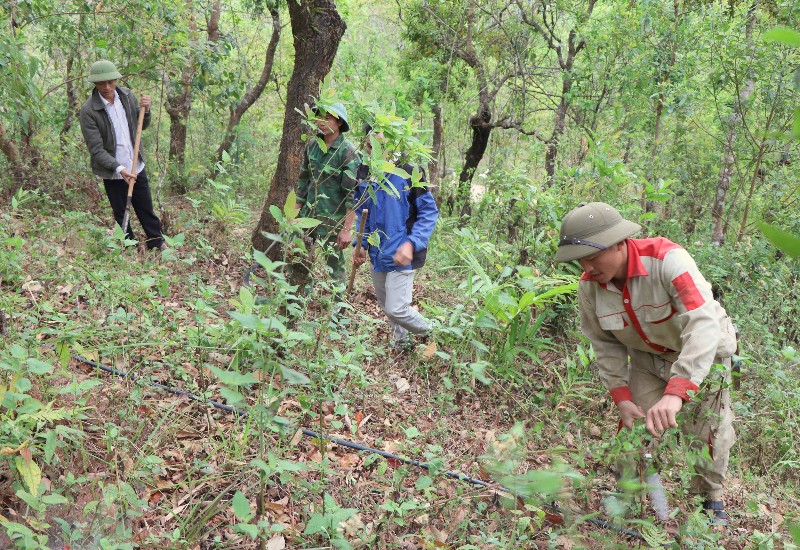 Tạo động lực để người dân giữ gìn và phát triển rừng