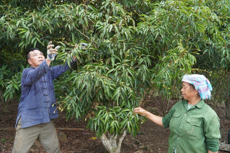 Tuổi cao, gương sáng