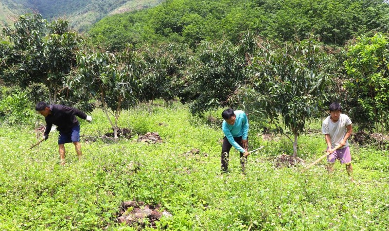 Mang ấm no, hạnh phúc đến với nhân dân