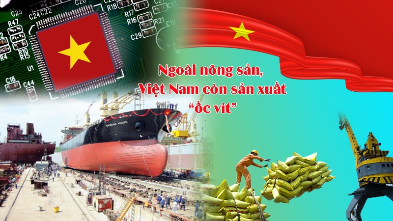 Việt Nam – Hình mẫu của hòa bình & phát triển bền vững