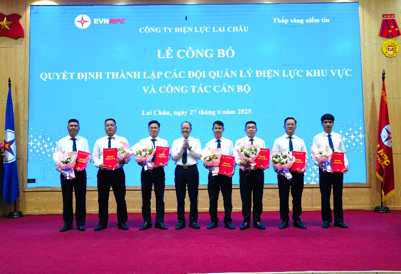 Công bố quyết định thành lập các Đội quản lý Điện lực khu vực và công tác cán bộ