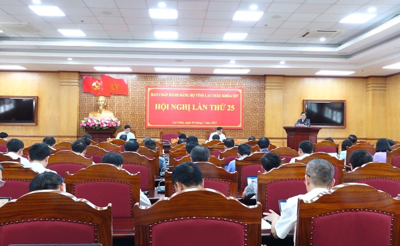 Hội nghị Ban Chấp hành Đảng bộ tỉnh lần thứ 25