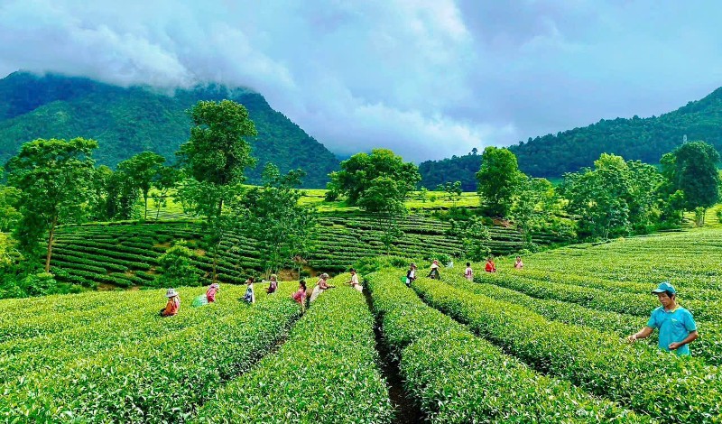 Ưu tiên nguồn lực, quyết tâm đạt mục tiêu tăng trưởng