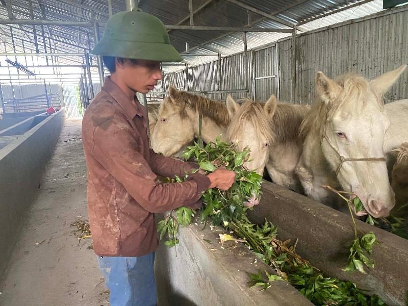 Hướng phát triển kinh tế mới