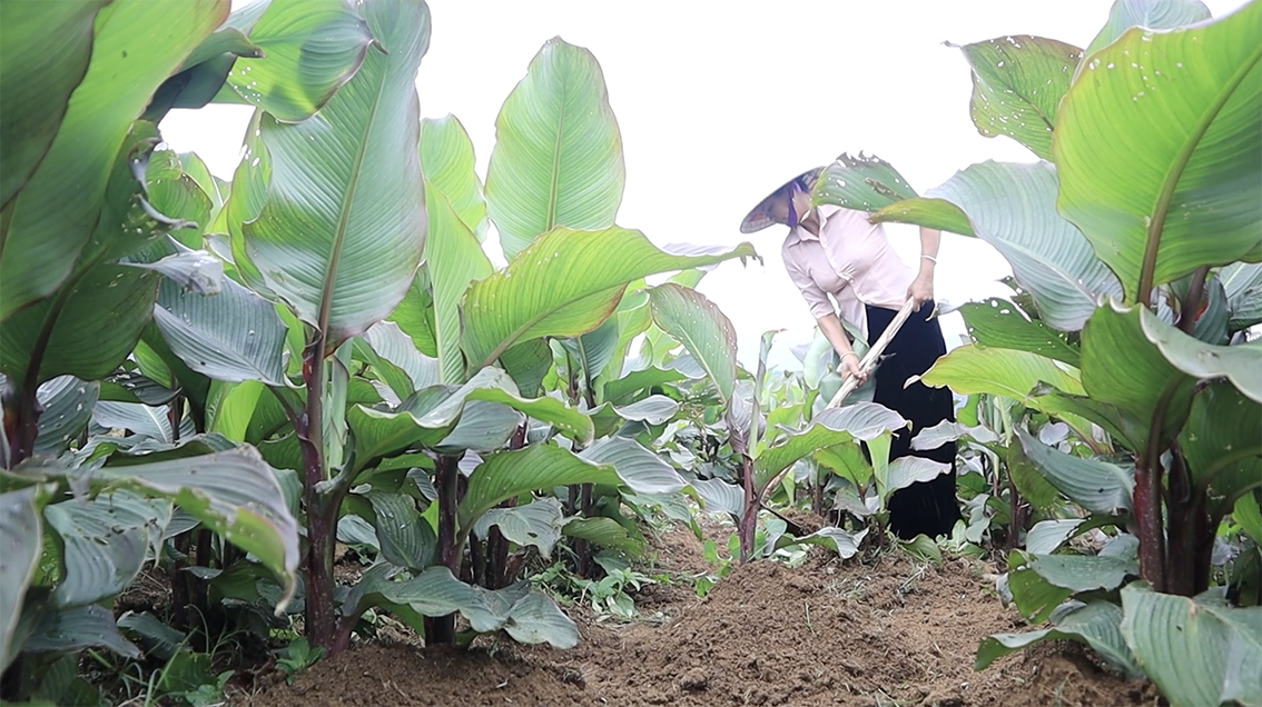 Gắn trách nhiệm công việc với từng cá nhân