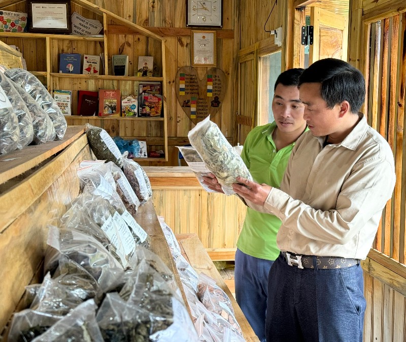 Phát triển bền vững du lịch cộng đồng