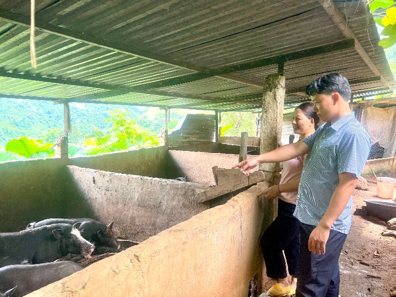 Diện mạo nông thôn khởi sắc