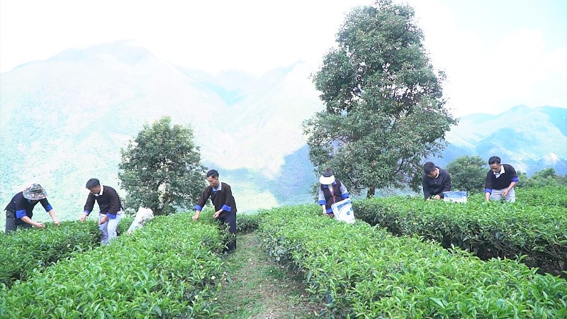 Ngày mới ở bản Mông