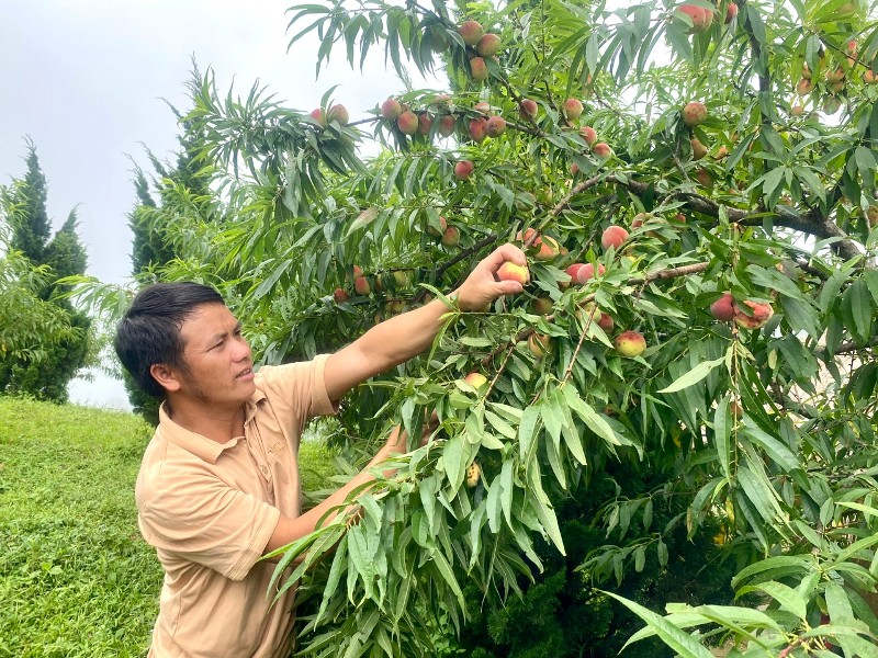 Mạnh dạn thay đổi tư duy sản xuất