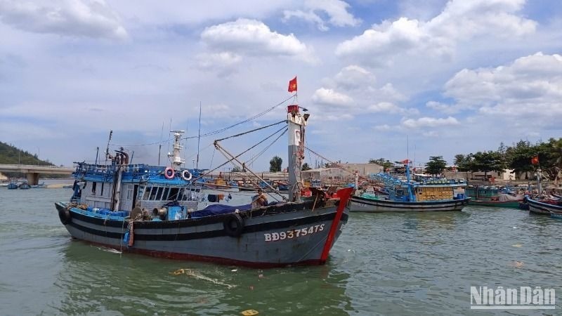 Khai thác thủy sản an toàn, bền vững, đúng quy định