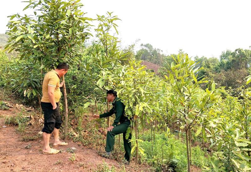 Nhịp sống mới ở Mù Cả