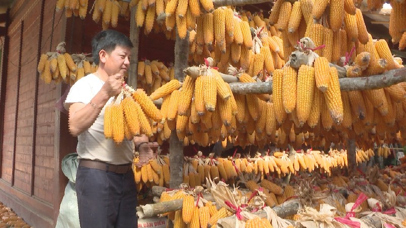 Thành công từ mô hình kinh tế tổng hợp