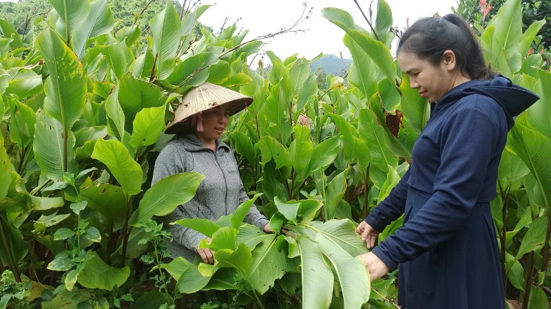 Hội viên phụ nữ tiêu biểu