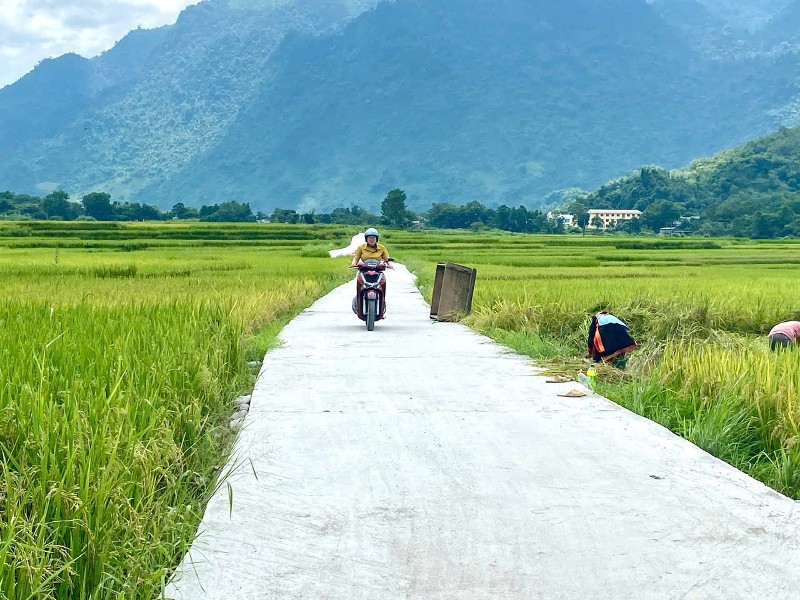 Tập trung xây dựng nông thôn mới sau sáp nhập