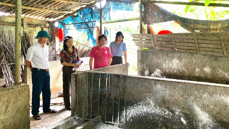 Phường Tân Phong kiểm tra công tác phòng, chống dịch tả lợn Châu Phi